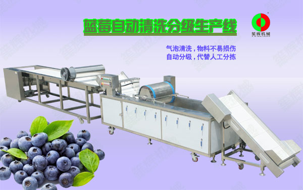 靖安蓝莓/蔬果全自动清洗分级生产线